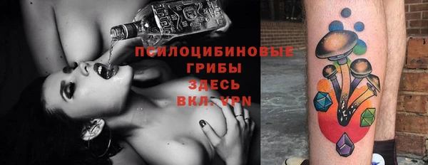 мдпв Надым