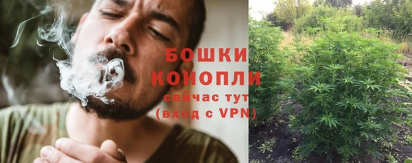 крисы Наволоки