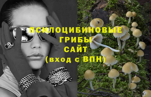 jwh Болотное