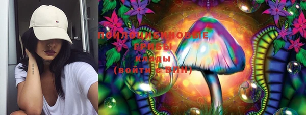 мдпв Надым